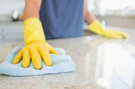 Domestic Cleaners