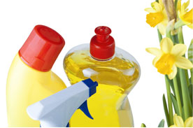 Spring Cleaning Service